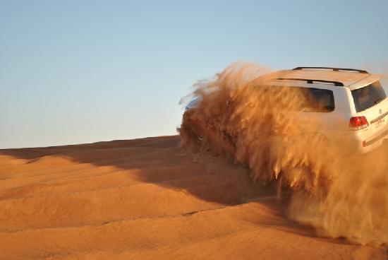 Desert Safari