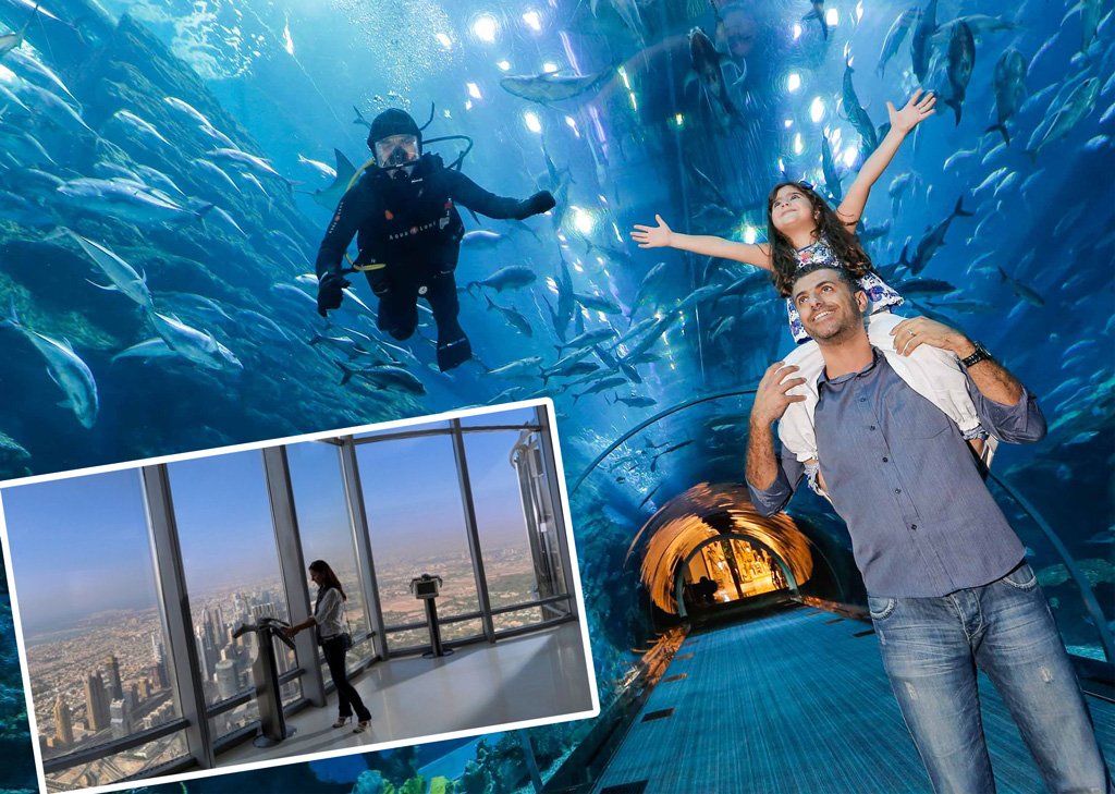 at-the-top-_-aquarium_530x@2x